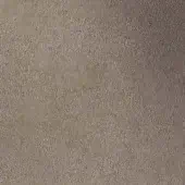 501286 - SALVIA